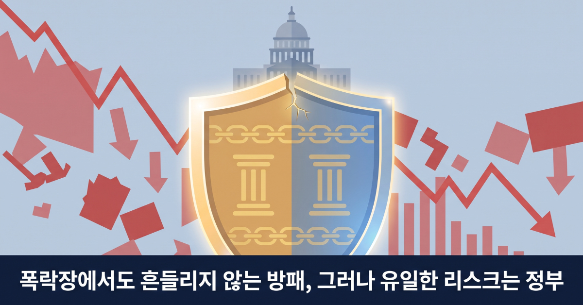 폭락장에서도 흔들리지 않는 방패, 그러나 유일한 리스크는 정부